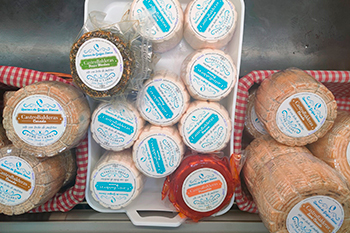 Queria Castro Balderas